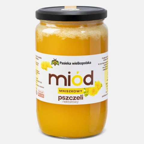 Miód MNISZKOWY 950g