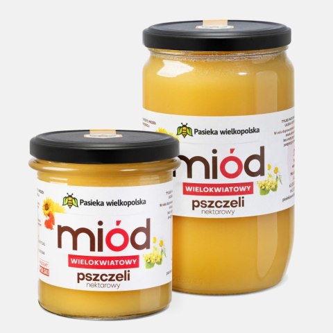 Miód WIELOKWIATOWY 950g