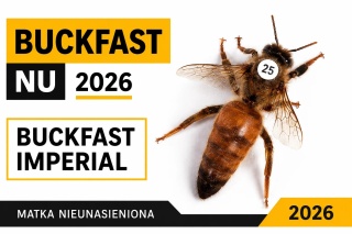Matka pszczela Buckfast Imperial NU 2026