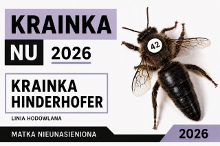 Matka pszczela Krainka Hinderhofer NU 2026
