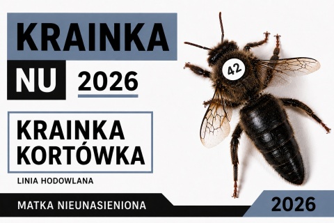 Matka pszczela Krainka Kortówka NU 2026