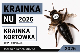 Matka pszczela Krainka Kortówka NU 2026