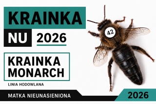 Matka pszczela Krainka Monarch NU 2026